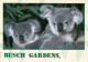 3 AK USA / Florida * Busch Gardens In Tampa -- Congo River Rapids - Koalas - Tanganyika Tidal Wave * - Tampa