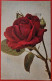 Entier Postal Suisse Timbré Sur Commande (1922) Thème Rose, Yoghurt, Sang, Diabète, Maladies ... - Rosen