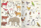 UN PETIT LIVRE D OR EDITION DES DEUX COQ D OR  - MON PETIT VOCABULAIRE PAR S.CHAMBERS ILLUSTRATIONS DE G. ELLIOTT, 1975 - Hachette