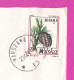 274822 / Poland Par Avion Cover Warsaw 1994 - 10 000 Zl. Pinus Cembra Plant To Sofia BG - Storia Postale