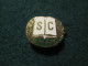 SC DHfK Leipzig Handball Pin Badge - Handball