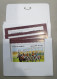 Delcampe - Bahrain Postcards - Horse Racing In State Of Bahrain -  8 Different Old Postcards Full Set With Envelopes - Bahreïn