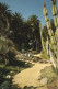 CALIFORNIA, CACTUS GARDEN, HISTORIC RANCH AND GARDENS, LONG BEACH, UNITED STATES - Cactussen