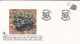 Delcampe - SOUTH AFRICA RSA 1988-89 10 Official First Day Covers FDC 4.24 4.25 4.25.1 4.26  S14 5.2 5.3 5.3.1 5.4 5.5 - Cartas & Documentos