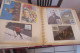 Delcampe - ALBUM SUPERBES  CONTENANT  50 CARTES MAXIMUM SEMI - MODERNES - Collections