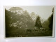 Schweiz. Idyll Auf Der Voralp. Grabs. Alte Ansichtskarte / Postkarte S/w, Ungel. Ca 1920 /30. Weidende Kühe, G - Grabs