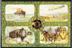 POST 40 - ALLEMAGNE Entier Postal Illustré Thème Transports - Privé Postkaarten - Gebruikt