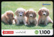 Japan:Used Phonecard, Nishitetsu, 1100 Units, Dogs, Puppies - Hunde