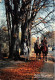 PARIS - Au Bois De Boulogne.  Photographe Albert Monier - Chevaux, Cavaliers, Automne, Photo - Cpsm GF 1966 - Monier