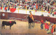 TAUROMACHIE- LOT DE 18 CARTES DE CORRIDA DE TOROS - - Other & Unclassified