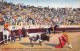 Delcampe - TAUROMACHIE- LOT DE 18 CARTES DE CORRIDA DE TOROS - - Andere & Zonder Classificatie