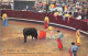 Delcampe - TAUROMACHIE- LOT DE 18 CARTES DE CORRIDA DE TOROS - - Andere & Zonder Classificatie