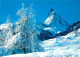Switzerland Verschneite Larchen Bei Zermatt - Matterhorn & Mt Cervin - Matt