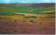 PANORAMA OF DARTMOOR, DEVON, ENGLAND. UNUSED POSTCARD   Wt4 - Dartmoor