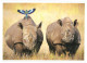 Black Rhinoceros, Unused WWF Large Postcard. Publisher World Wide Fund For Nature, Switzerland Photo: Martin Harvey - Rhinocéros