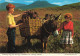 IRLANDE - Collecte De Gazon De La Tourbière - Âne Et Enfants - Galway