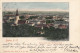 1901 BADEN Bei Wien (NÖ) - Panorama V.Calvarienberg, Gel.1901 - Baden Bei Wien
