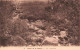 BELGIQUE - Vallée De La Hoëgne - Les Cascades -  Carte Postale Ancienne - Verviers