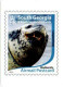 Antarctique BAT SOUTH GEORGIA FALKLAND - Mini Calendriers Lot2 - Andere & Zonder Classificatie