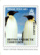 Antarctique BAT SOUTH GEORGIA FALKLAND - Mini Calendriers Manchots Penguins - Altri & Non Classificati