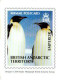 Antarctique BAT SOUTH GEORGIA FALKLAND - Mini Calendriers Manchots Penguins - Otros & Sin Clasificación