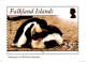 Antarctique BAT SOUTH GEORGIA FALKLAND - Mini Calendriers Manchots Penguins - Autres & Non Classés