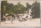 1907. Grüsse Aus Berlin. Viktoriapark Wasserfall. - Souvenir De...