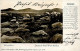 Kolonien Deutsch-Südwestafrika Kriegsbilder Feldpost, Stempel Warmbad DSWA 1906 I-II Colonies - History