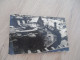 Carte Photo Militaria Militaire La Grande Bertha Canon Féré Tardenais - Weltkrieg 1914-18