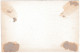 Belgique "Carte Porcelaine" Porseleinkaart, CHs. Gevaert, Tapissier, Gand, Dim:167x 109mm - Porcelaine