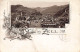 Gruss Aus Zell Litho 1894 - Zell Am See