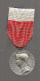 Médaille, Ministère Du Travail Et De La Sécurité Sociale,1966, Graveur: Borrel, Argent 1 Er Titre, Ruban,frais Fr 1.95 E - Firma's