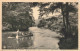 BELGIQUE - Namur - Houyet - Confluent De La Lesse Et De L'Iwoigne -  Carte Postale Ancienne - Houyet