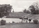 AK 157697 GERMANY - Seelow - Gedenkstätte Der Befreiung Auf Den Seelower Höhen - Seelow