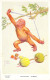 ILLUSTRATEUR - Wood Lawson - Physical Jerks - Gran Pop Series - Singe Avec Bretelle - Carte Postale Ancienne - Wood, Lawson