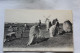 Saint Pierre, Quiberon, Les Alignements Du Moulin, Dolmens Et Menhirs, Morbihan 56 - Dolmen & Menhirs