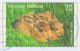 RABBIT Germany 2016 STATIONERY Cover Philatelic Exhibition München Börse Tierkind Feldhase Leberblümchen FLOWER 2005 - Lapins