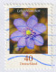 RABBIT Germany 2016 STATIONERY Cover Philatelic Exhibition München Börse Tierkind Feldhase Leberblümchen FLOWER 2005 - Lapins