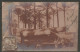 Carte P De 1907 ( Egypte / Sphinx ) - Sphynx