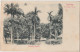 Castries, Saint Lucia, Sainte Lucie. Antilles. Columbus Square. Carte Précurseur Circulé. 2 Scans - St. Lucia