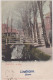 Zaandijk - De Weg - 1901 - Zaanstreek