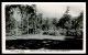 Ref 1632 - 1957 Real Photo Postcard Brisbane Gardens - Good Chardons Corner Postmarkk - Australia - Storia Postale