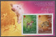 Hong Kong 2007 Année Du Cochon (or Et Argent), Year Of The Pig S/s (gold/silver), - Blocks & Kleinbögen