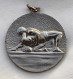 Wrestling Medal Silver Vojvodina Yugoslavia - Otros & Sin Clasificación