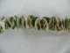 Beautiful Natural Shells Necklace Green Tone #1518 - Colliers/Chaînes