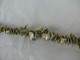 Beautiful Natural Shells Necklace Green Tone #1518 - Colliers/Chaînes