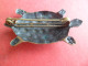 Vieille Broche Cuivre Animal Marin Tortue - - Brooches