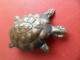 Vieille Broche Cuivre Animal Marin Tortue - - Brooches