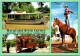 2-9-2023 (4 T 5) Australia - NSW _ Dubbo Historic Dundullimal Slab Homestead (river Cruises - Horse Show Etc) - Dubbo