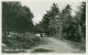 Texel 1956; Weg Naar Het Noordervlak - Gelopen. (Rubens) - Texel